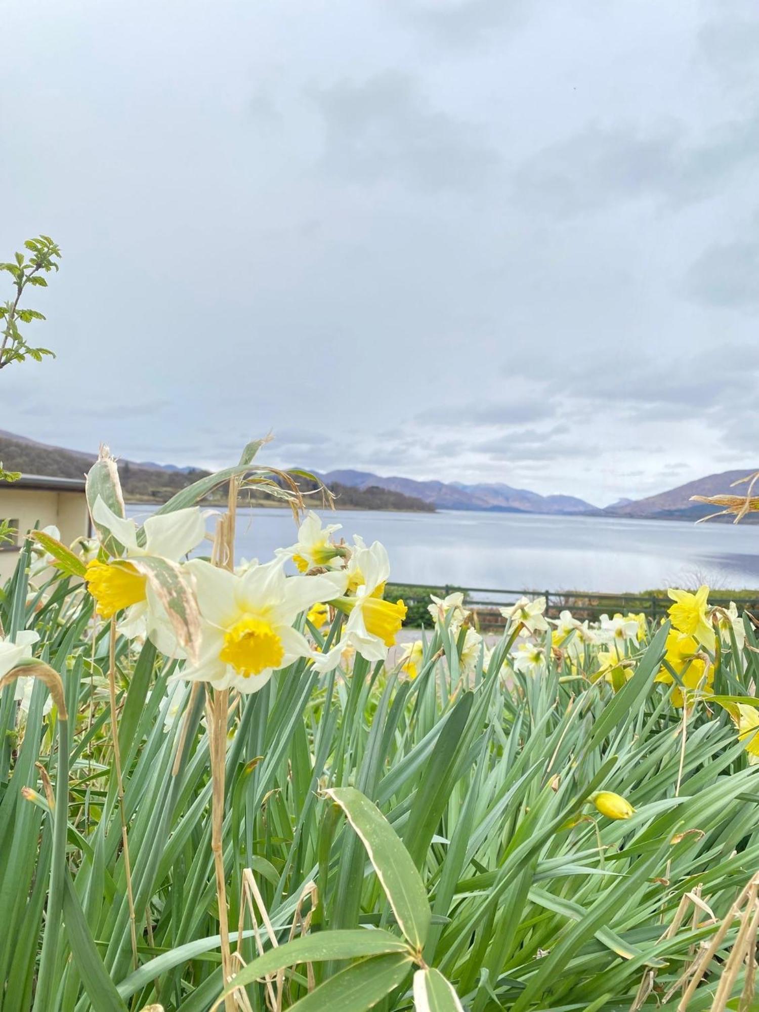 Linnhe Lochside Holidays 4* Corpach